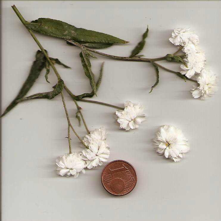 photo1