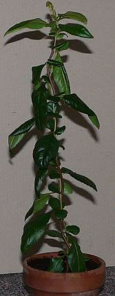 photo1