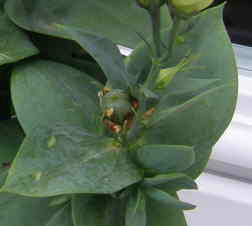 photo2