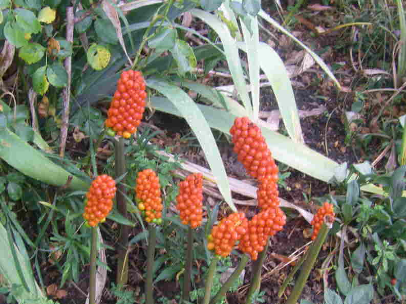 photo1