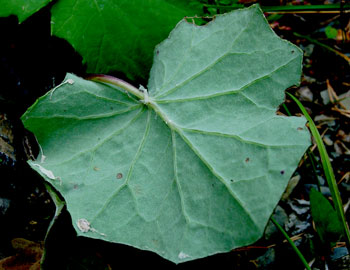 photo2