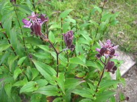 photo2