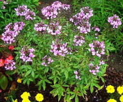 photo1