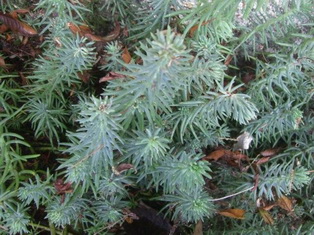 photo1