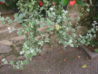 photo1
