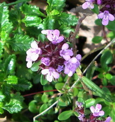 photo2