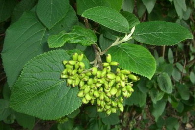 photo1