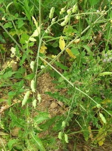 photo2