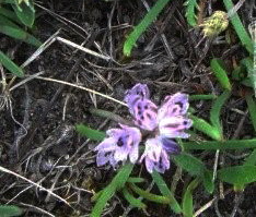 photo2