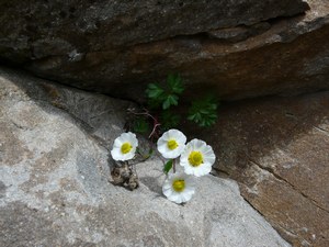 photo1