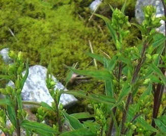 photo2