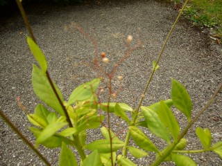 photo2