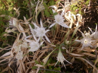 photo1