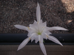 photo2