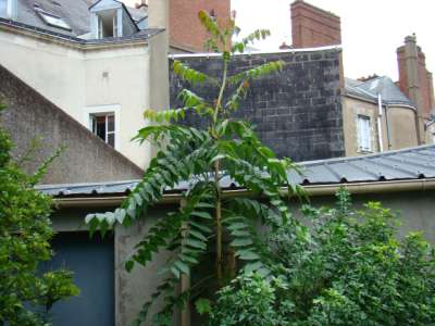 photo1