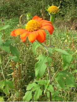 photo1