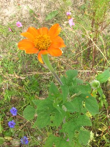 photo2
