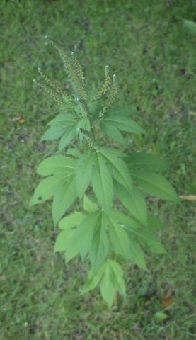 photo2
