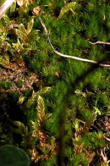 photo2