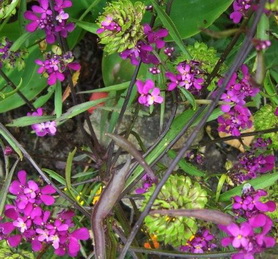 photo1