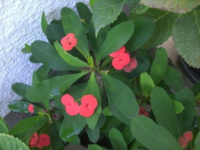 photo1