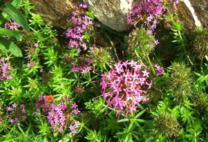 photo1