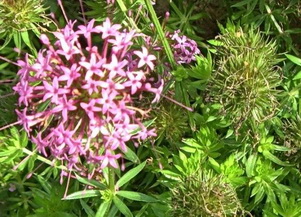 photo2