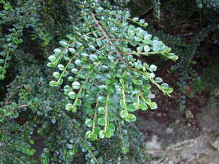 photo1