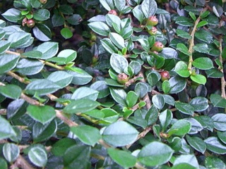 photo2