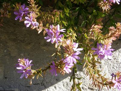 photo1
