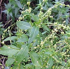 photo2