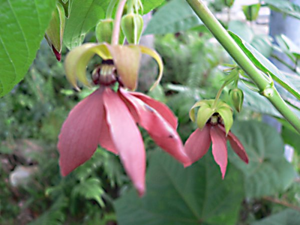photo1