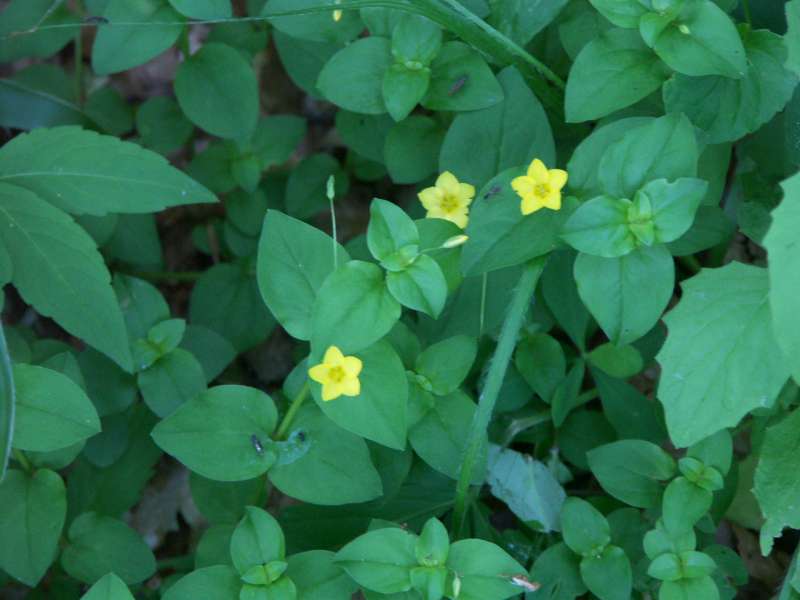 photo1