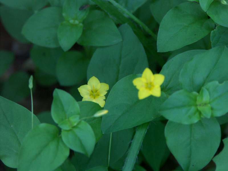 photo2
