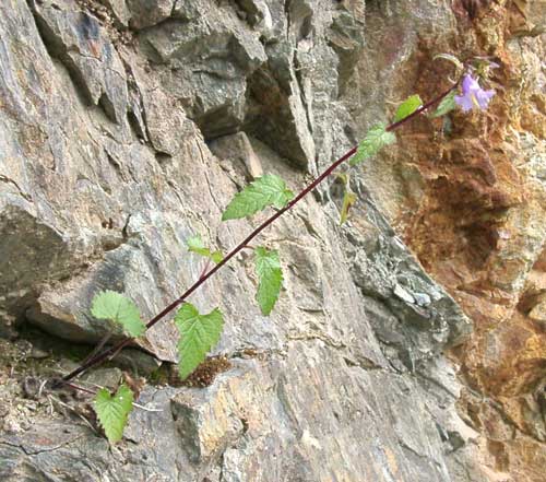 photo1