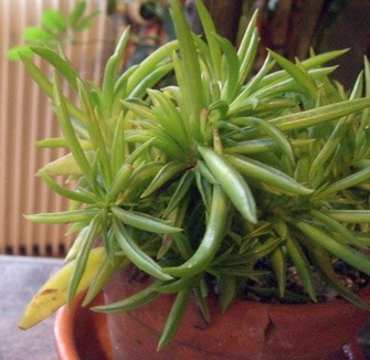 photo1