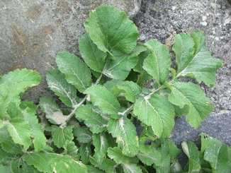 photo1