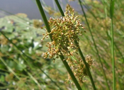 photo1