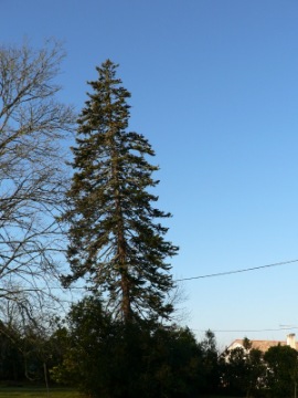 photo1