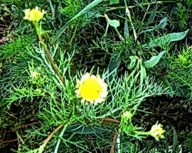 photo1