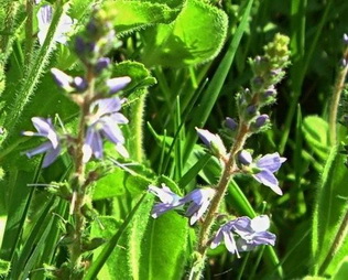 photo1