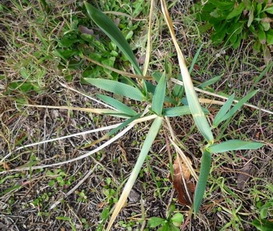 photo2