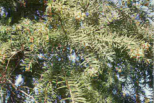 photo2