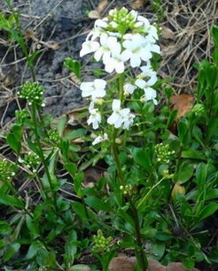 photo2