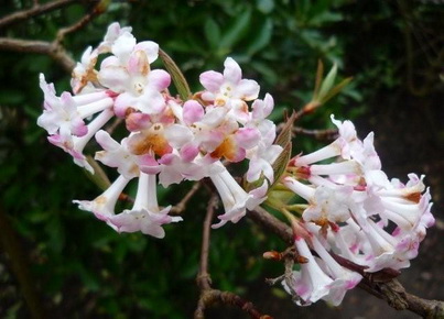 photo1