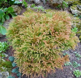 photo2