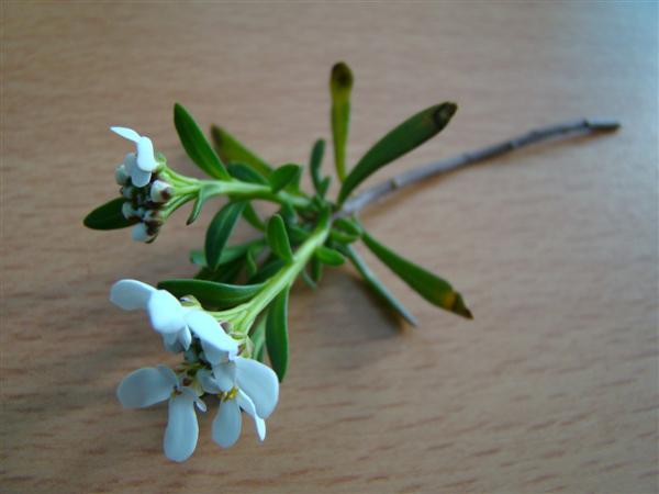photo2