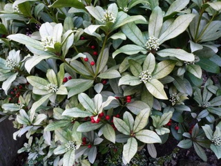 photo1