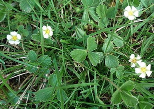photo2