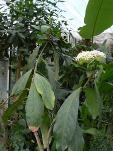 photo1